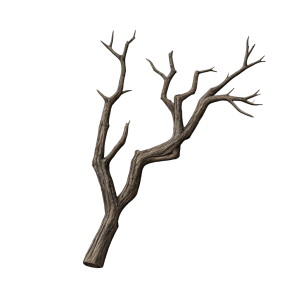 Corrupted Roots