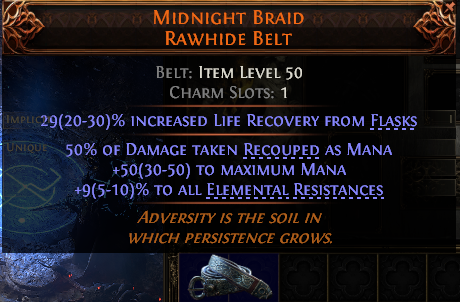 Midnight Braid Rawhide Belt#614419