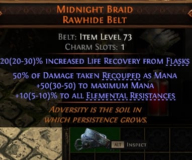 Midnight Braid Rawhide Belt#31174