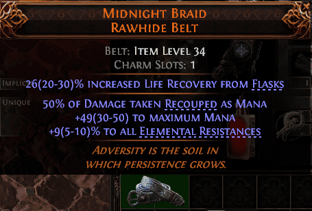 Midnight Braid Rawhide Belt#660897