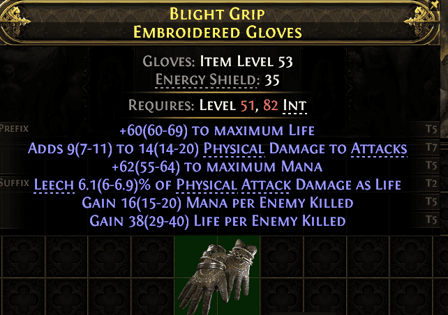 Blight Grip Embroidered Gloves#568225
