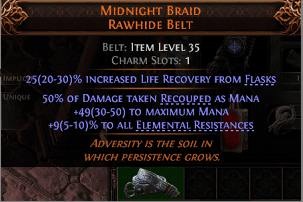Midnight Braid Rawhide Belt#861887
