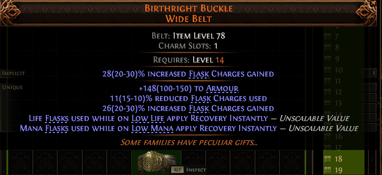 Birthright Buckle Wide Belt#185770