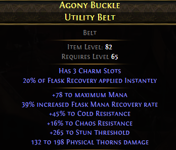 Agony Buckle Utility Belt