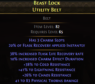 Beast Lock Utility Belt