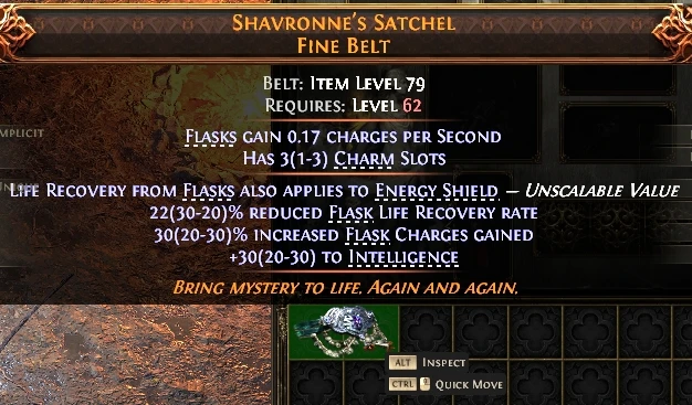 SHAVRONNE'S SATCHELFINE BELT