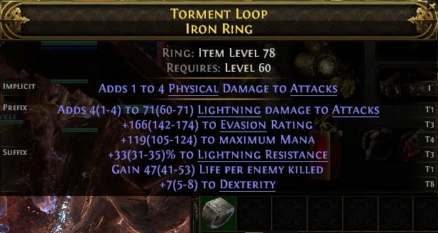 TORMENT LOOP IRON RING