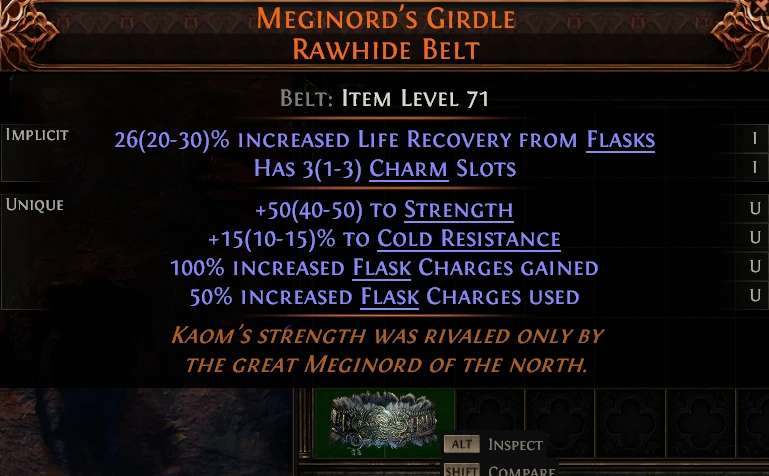 MEGINORD'S GIRDLE RAWHIDE BELT