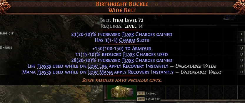 BIRTHRIGHT BUCKLE WIDE BELT